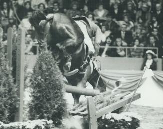Sports - Horses - Riders - International Grand Prix - Toronto Star Maple Leaf International
