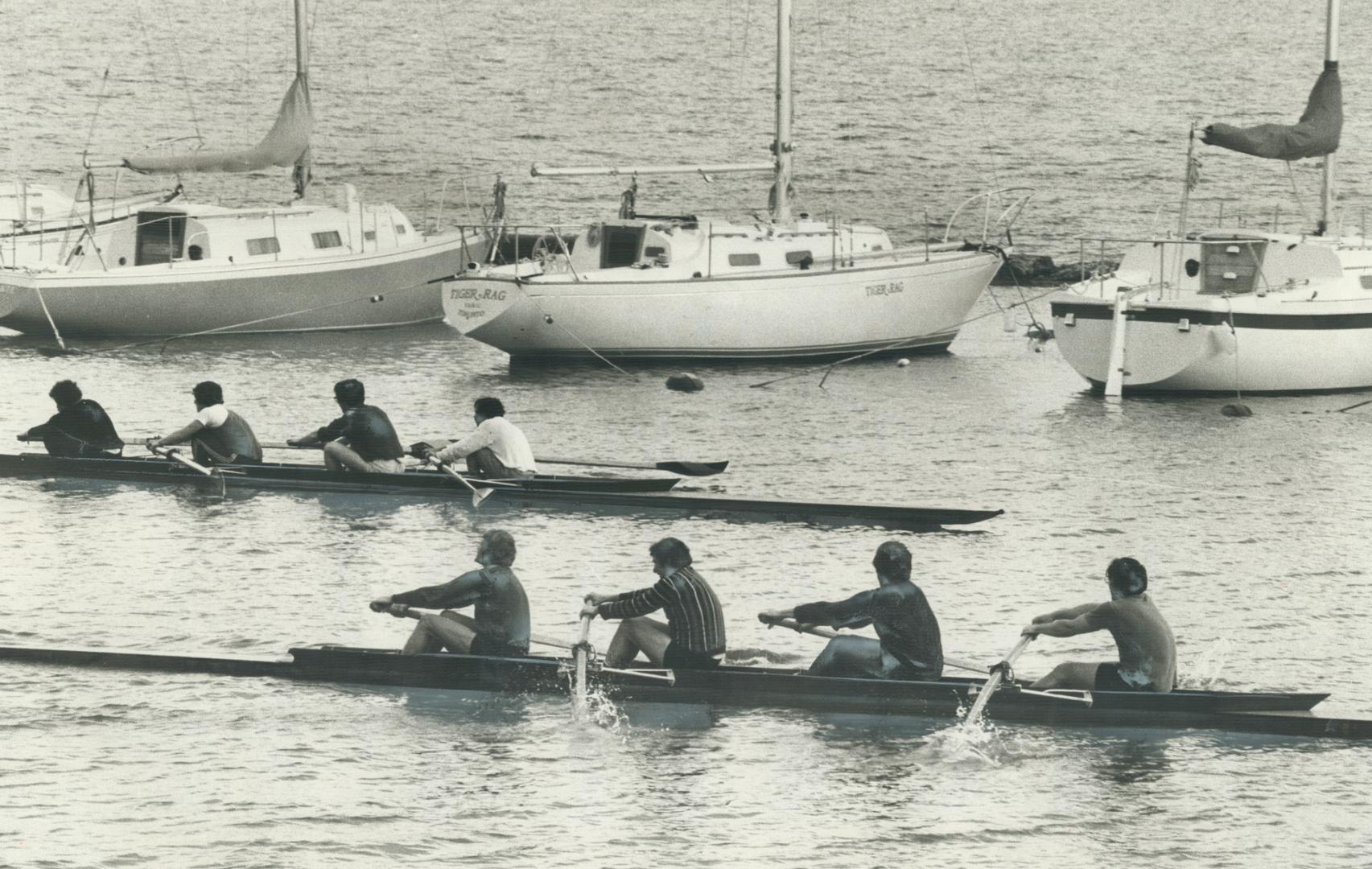 Lagoon near Argonaut Rowing Club on Lakeshore Blvd., four-man shells scull  past moored sailing craft – All Items – Digital Archive : Toronto Public  Library