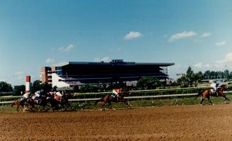 Sports - Horses - Race - Races - Queens Plate (1983-1986)