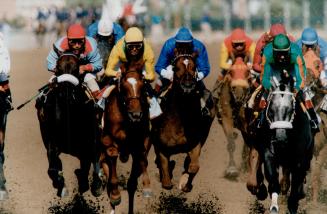 Sports - Horses - Race - Races - Queens Plate (1993-)