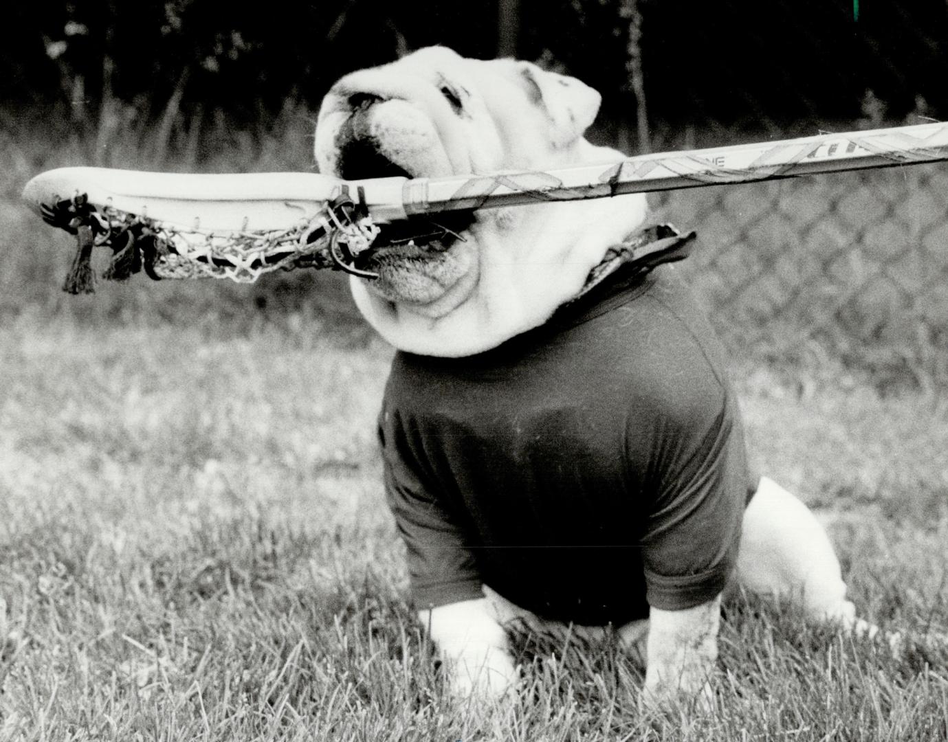 Bogart, the Canadian field lacrosse team's mascot, is all prepared to join in the action at the University of Toronto tryout camp