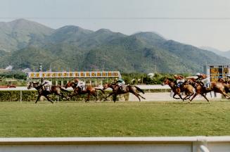 Race fans crowd the Sha Tin walking ring, near right, seeking the inside knowledge they use at the betting windows, far right. Below, King and colleag(...)
