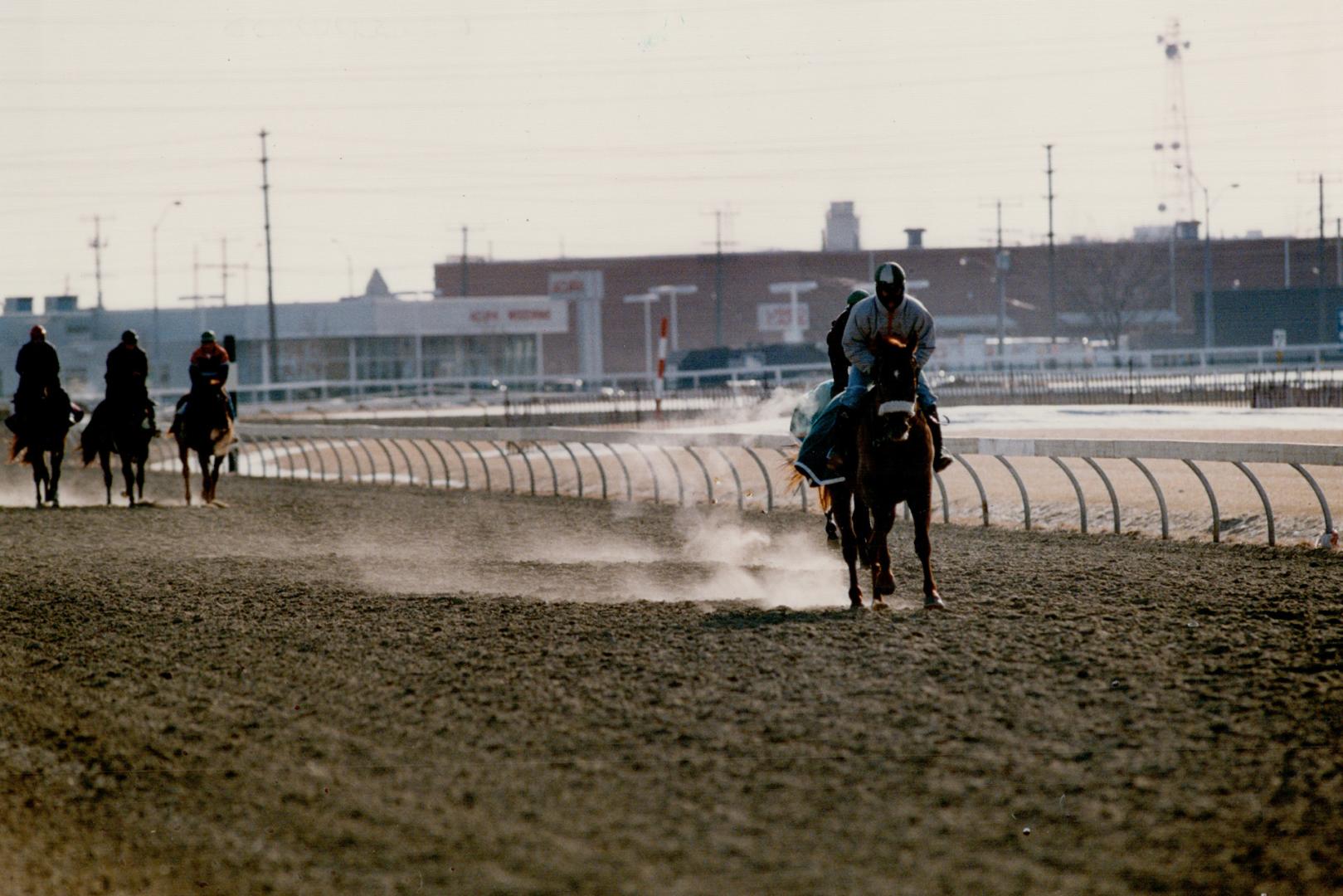 Sports - Horses - Race - Tracks - Greenwood (1987-)