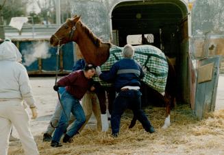 One of the horses in Al Parody's stable was reluctant to leave after final thoroughbred card