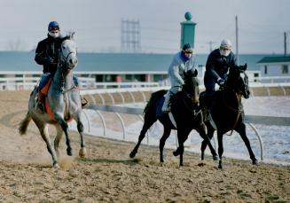 Thoroughbred racing resumes at Greenwood in five weeks