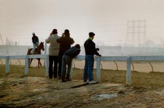 Back in Track: A worker takes horse for walk to cool down after training session, above right, while another horse drills on training track, middle, and railbirds keep tabs on the workouts