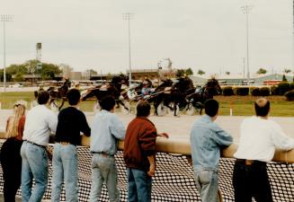 Sports - Horses - Race - Tracks - Greenwood (1987-)