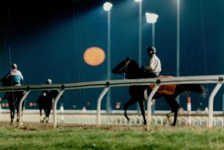 Early morning work out for Breeders' Cup