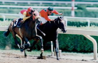 Heading into the home stretch. A familiar sight during the 136-day racing season at Woodbine Race Track at Highway 27 and Rexdale Blvd. is horses runn(...)