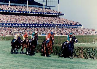 Sports - Horses - Race - Tracks - Woodbine (1980)