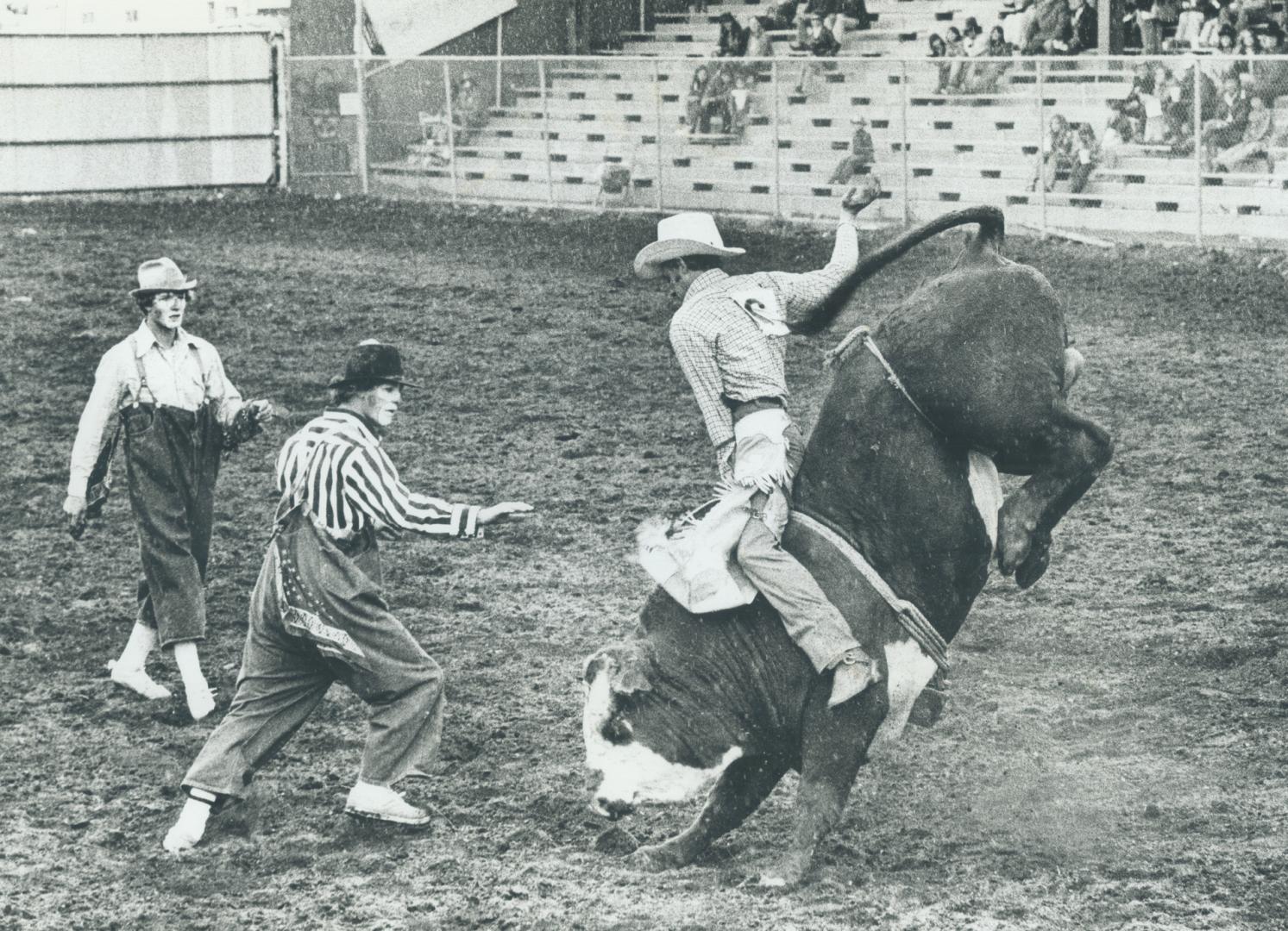 Williams Lake Stampede