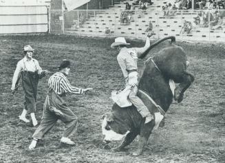 Williams Lake Stampede