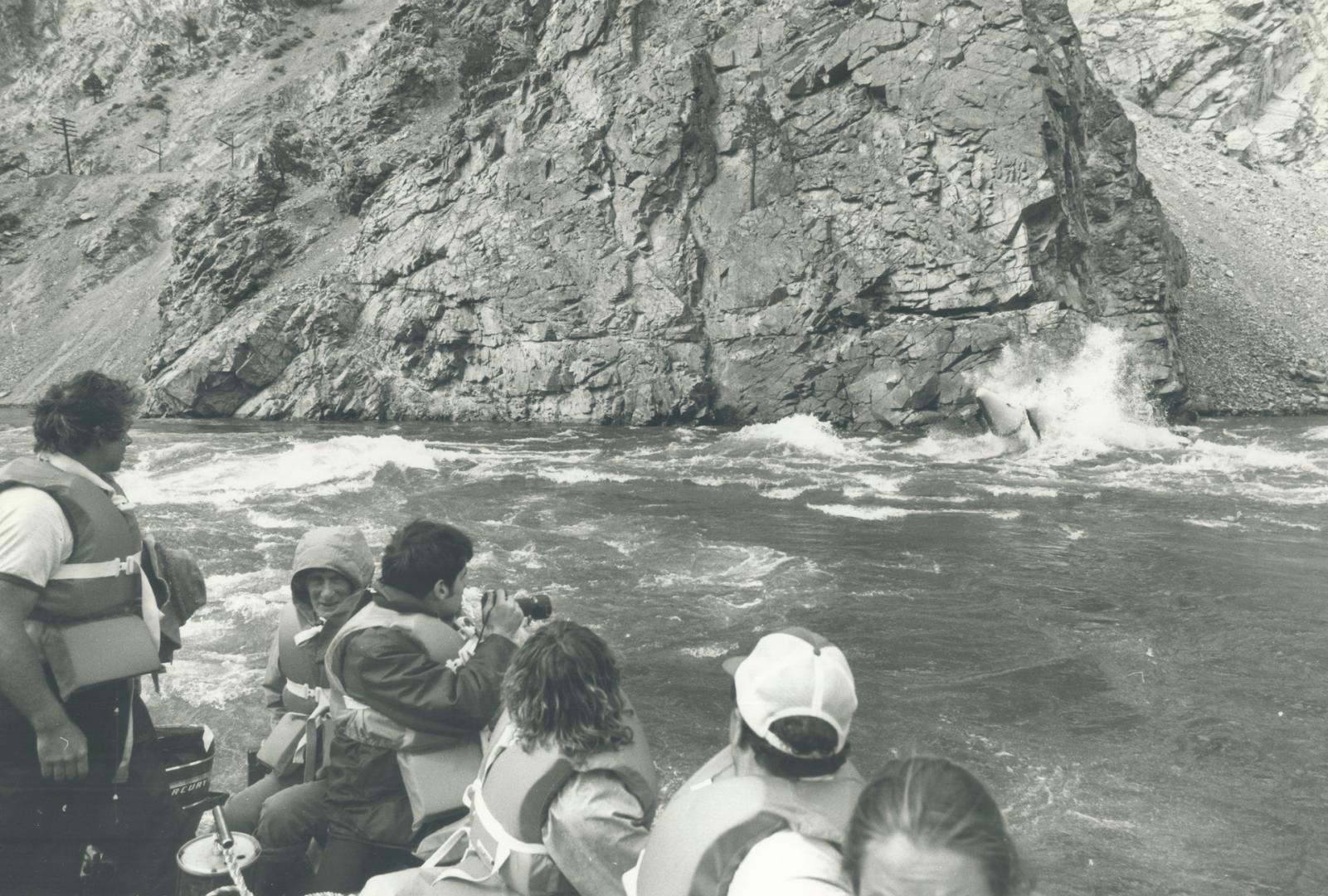 Sports - Rafting and Rat Races