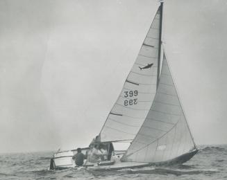 Duck soup, a 24-foot shark owned by Sid Dakin of the Toronto Boulevard Yacht Club, has a practice run on Lake Ontario for The Toronto Daily Star Gold (...)