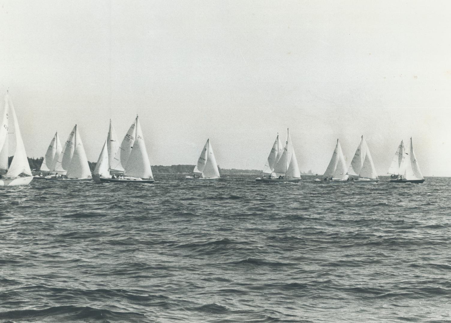 The new look of Lake Ontario on a sunny summer day: White sails on the horizon