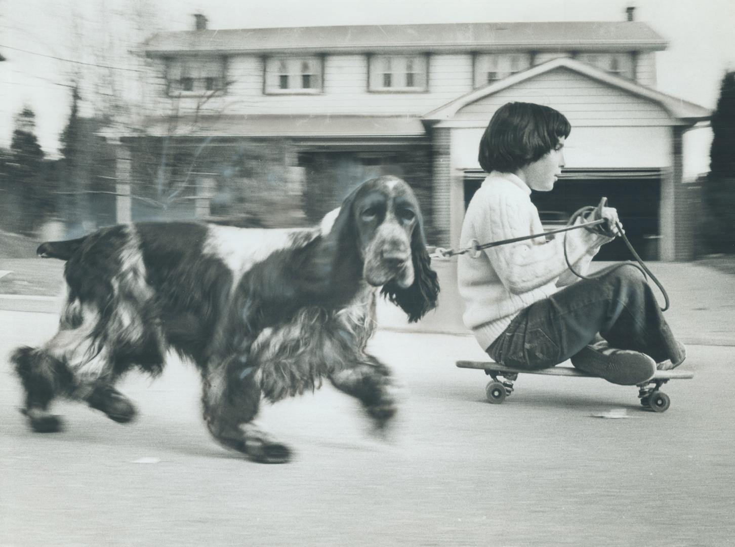 Walking the Dog! Jenny goodman, 10, of Willowdale is sitting pretty on her skateboard as she cruises down a gentle hill with Blaze, here 9-month-old E(...)