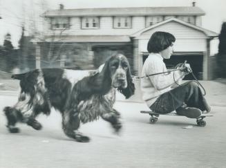 Walking the Dog! Jenny goodman, 10, of Willowdale is sitting pretty on her skateboard as she cruises down a gentle hill with Blaze, here 9-month-old E(...)