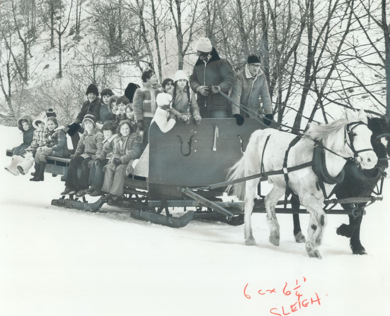 This is a two-horse open sleigh, An old-fashioned treat these snowy winter days is the sleigh rides offered every weekend at Scarborough's Thomson Mem(...)
