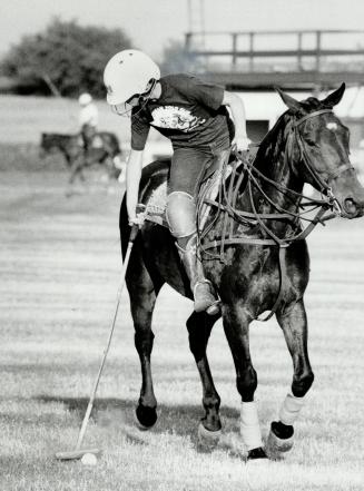 Whoa, boy! The International Polo Series kicks off this weekend in Gormley and the Toronto Polo Club is hoping to raise $100,000 for the Ontario Heart(...)
