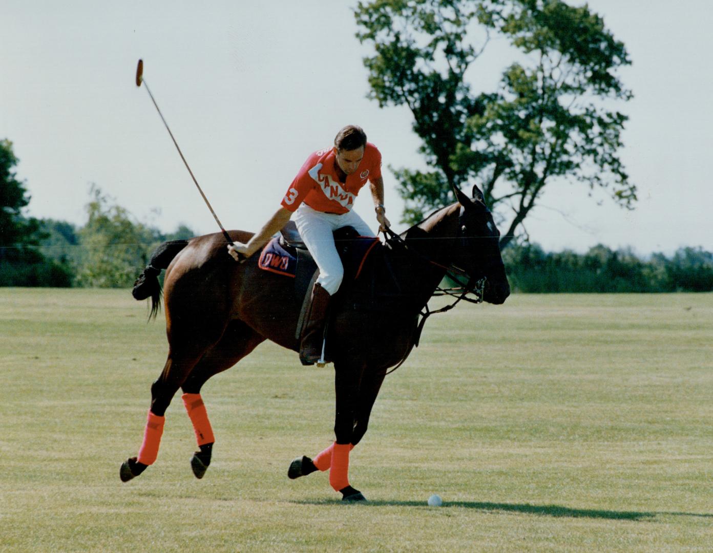 Dave and Billy Joe on the range, Dave Offen, 29, on one of his horses, Billy Joe, shows the style that makes him one of Canada's best polo players