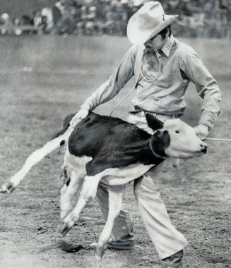 Gary Doner is thrown for a few lumps and bruises by aptly named bull, Watergate