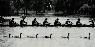 A Coxswain shouting instructions to his crew could become an unfamiliar sight in St