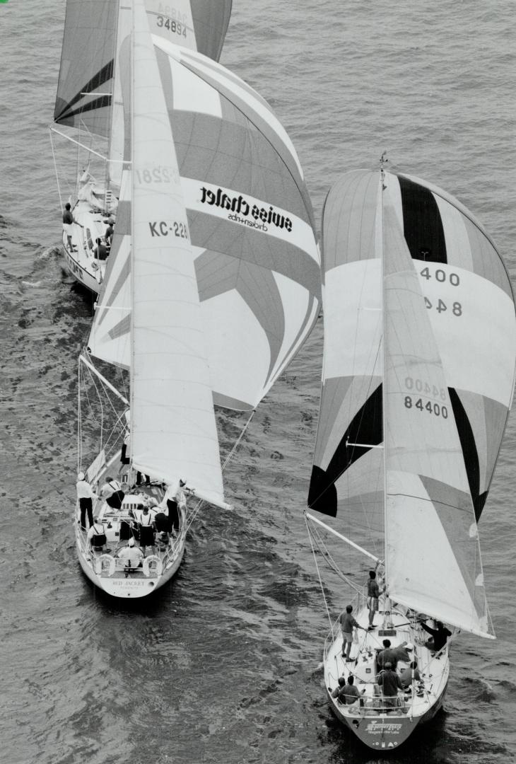Full sail for charity, Some of the 106 competitors vie in the Amstel Cup Regatta in Toronto harbor yesterday