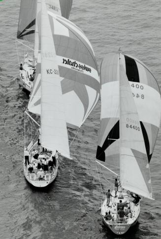 Full sail for charity, Some of the 106 competitors vie in the Amstel Cup Regatta in Toronto harbor yesterday