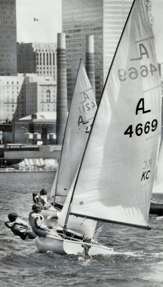 Some lessons are a breeze, Boats of the Albacore class across Toronto harbor with their crews balancing them