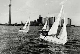 It's a great life as sailors take to the water by hundreds in Toronto harbor from June to September and cost to would -be tars can be less than $100