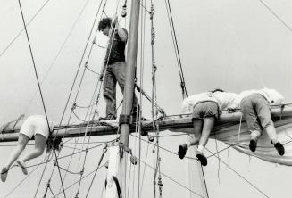 Ahoy, mates! Would-be participants in Operation Raleigh settle in on the yardarm of the square-rigged ship used for training yesterday in Toronto Harb(...)