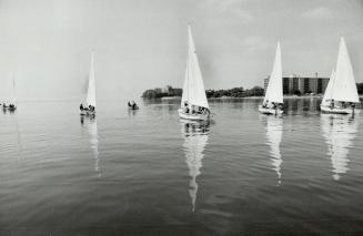 Humber College sailing school operates on beautiful Humber Bay and still has openings, especially for adult daytime courses