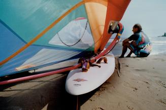 Life's a beach: Ben Moorsom Dan Michaluk, Dave Paris and Charles Bouchard catch a wave