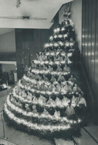 The Christmas 'People Tree'. Surrounded by flashing lights as they stand on platforms assembled in shape of a Christmas tree, 135 members of the choir(...)