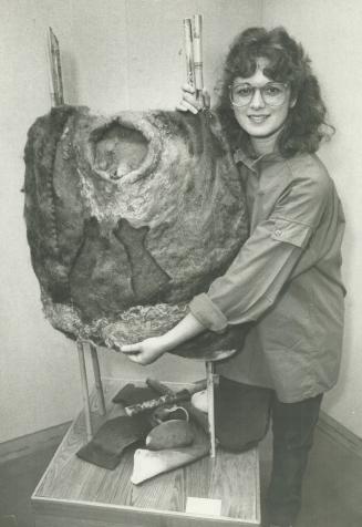 Exhibit feature