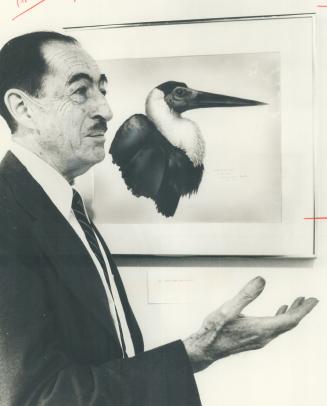 Artist-ornithologist Terence Shortt's watercolors are on view this month