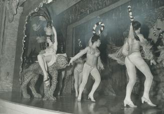 The Once-staid Imperial Room of Royal York Hotel resounded to the brassy music of bump and grind as chorus girls in scanty clothes danced for patrons (...)