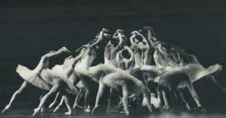 Dancing - Ballet - National Ballet - Swan Lake