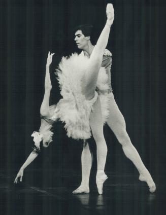Dancing - Ballet - National Ballet - Swan Lake