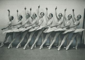 Nine ladies dancing . . . These dancers of the National Ballet company, in their Nutcracker Suite costumes, illustrate nicely what sort of present to (...)
