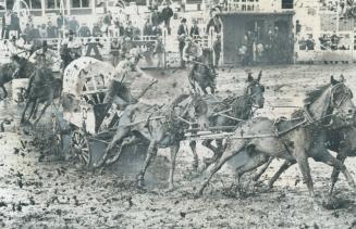Here's mud in your eye! That may be a toast elsewhere but when the chuckwagons start racing at the stampede it's the literal truth