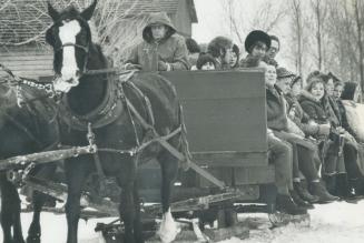 Taking a traditional sleigh ride to celebrate the holiday season, a group of visitors sit aboard a horse-drawn sleigh yesterday for a tour of Black Cr(...)