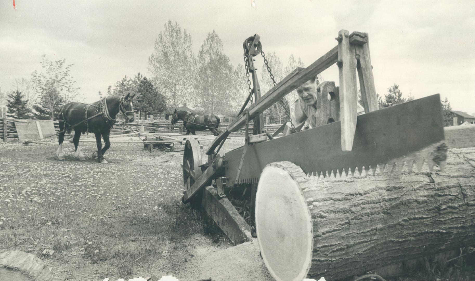 Dwane Kelsey operates horse-powered saw