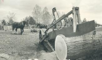 Dwane Kelsey operates horse-powered saw