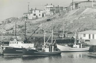 Fishing boats in Newfoundland's Portugal Bay prepare to go after the day's catch