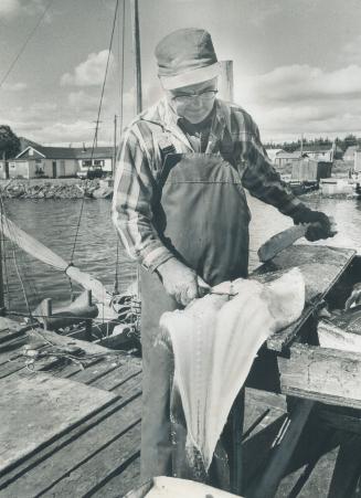 Fisherman Merton Romkey cleans fish on a dock at Eastern Passage near Dartmouth, N