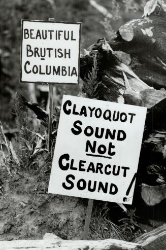 Canada - British Columbia - Clayoquot Sound