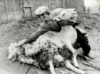 . . . and Roger McClure makes a clean sheep