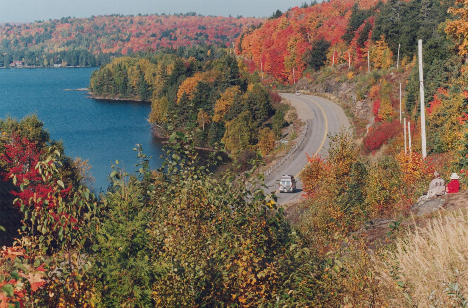 Canada - Ontario - Algonquin Park