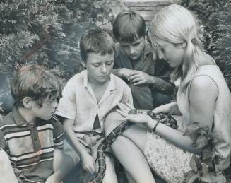 Boys without fathers get a lesson on snakes from a girl counsellor at Bolton Camp in Albion Hills